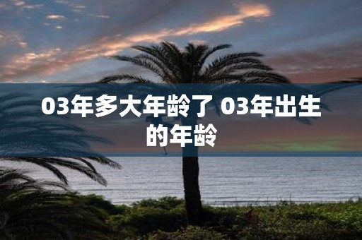 03年多大年龄了 03年出生的年龄