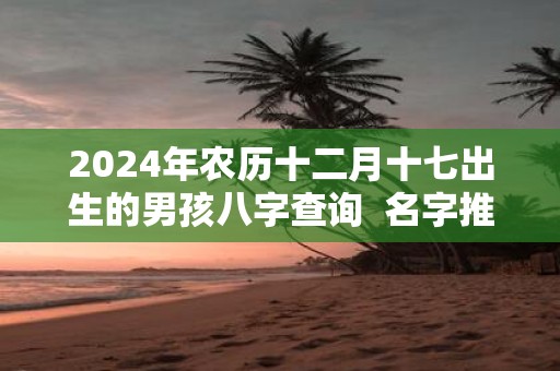 2025年农历十二月十七出生的男孩八字查询 名字推荐