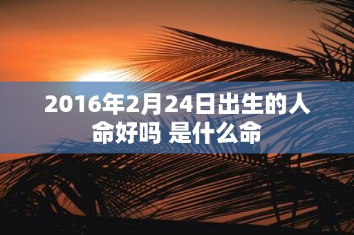2016年2月24日出生的人命好吗 是什么命