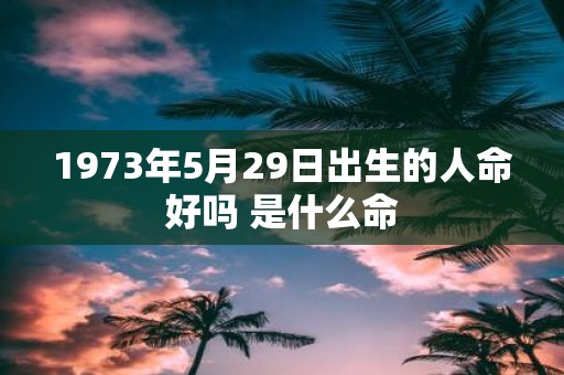 1973年5月29日出生的人命好吗 是什么命