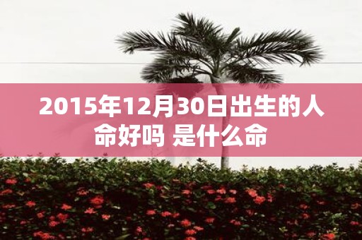 2015年12月30日出生的人命好吗 是什么命