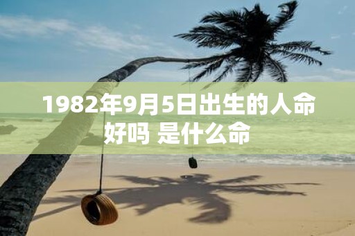 1982年9月5日出生的人命好吗 是什么命