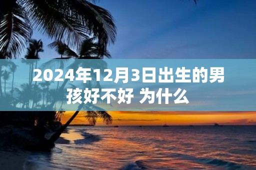 2025年12月3日出生的男孩好不好 为什么