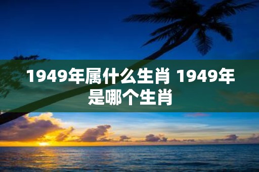 1949年属什么生肖 1949年是哪个生肖