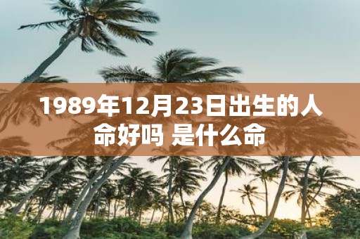 1989年12月23日出生的人命好吗 是什么命