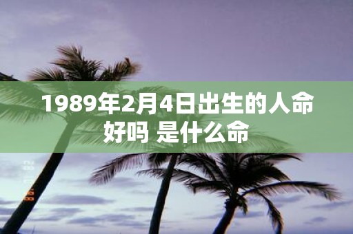 1989年2月4日出生的人命好吗 是什么命