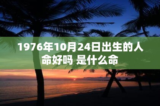 1976年10月24日出生的人命好吗 是什么命