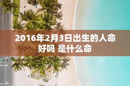 2016年2月3日出生的人命好吗 是什么命