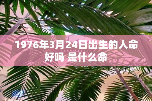 1976年3月24日出生的人命好吗 是什么命