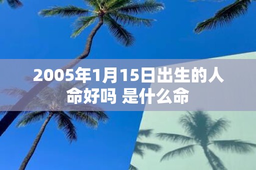 2005年1月15日出生的人命好吗 是什么命