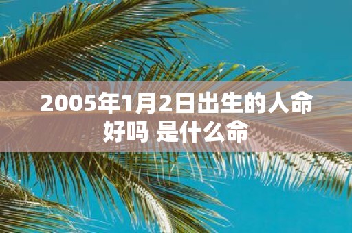 2005年1月2日出生的人命好吗 是什么命