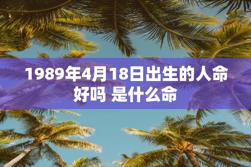 1989年4月18日出生的人命好吗 是什么命