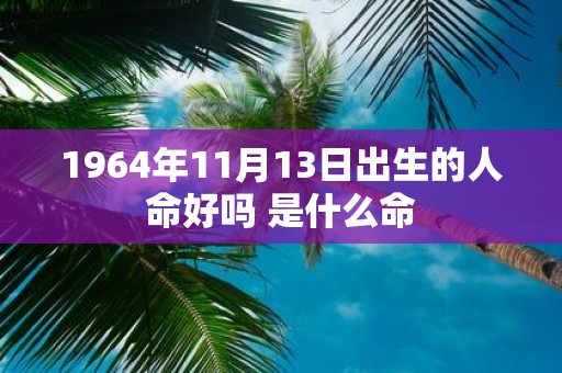 1964年11月13日出生的人命好吗 是什么命