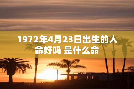 1972年4月23日出生的人命好吗 是什么命