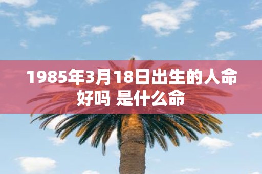 1985年3月18日出生的人命好吗 是什么命