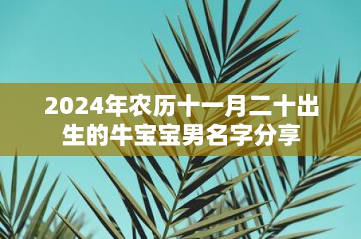 2025年农历十一月二十出生的牛宝宝男名字分享
