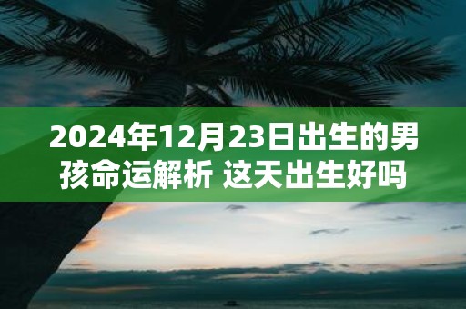 2025年12月23日出生的男孩命运解析 这天出生好吗