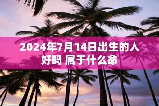 2025年7月14日出生的人好吗 属于什么命