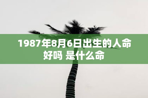 1987年8月6日出生的人命好吗 是什么命