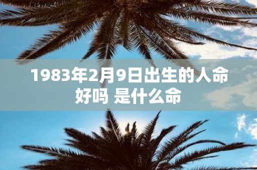 1983年2月9日出生的人命好吗 是什么命