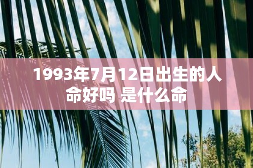 1993年7月12日出生的人命好吗 是什么命