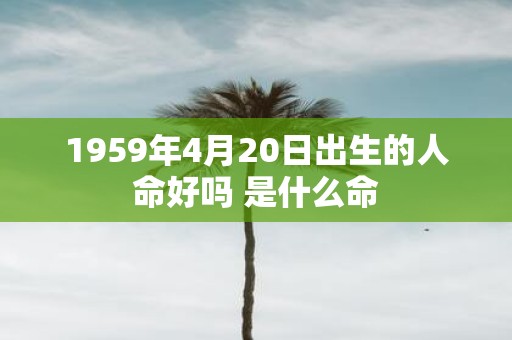 1959年4月20日出生的人命好吗 是什么命