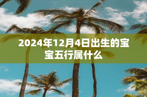 2025年12月4日出生的宝宝五行属什么