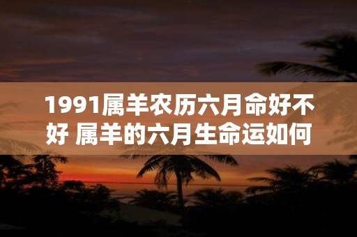 1991属羊农历六月命好不好 属羊的六月生命运如何
