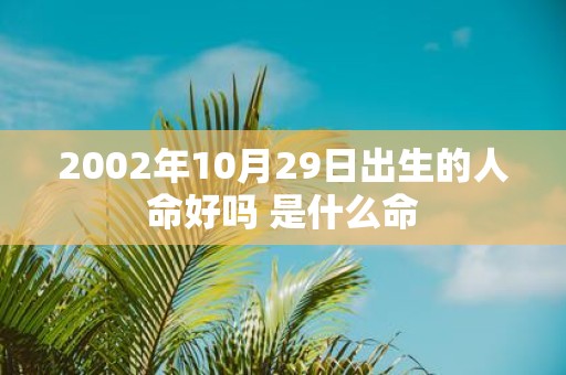 2002年10月29日出生的人命好吗 是什么命
