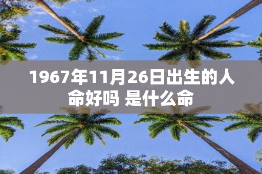 1967年11月26日出生的人命好吗 是什么命
