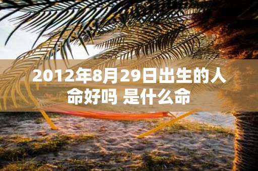 2012年8月29日出生的人命好吗 是什么命