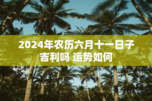 2025年农历六月十一日子吉利吗 运势如何