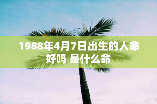 1988年4月7日出生的人命好吗 是什么命