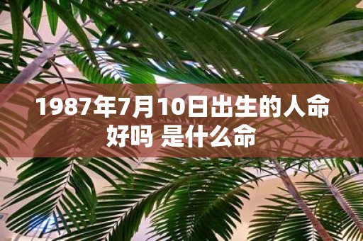 1987年7月10日出生的人命好吗 是什么命