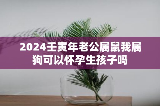 2025壬寅年老公属鼠我属狗可以怀孕生孩子吗