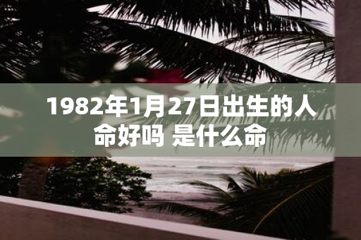 1982年1月27日出生的人命好吗 是什么命