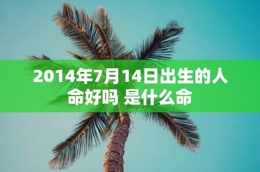 2014年7月14日出生的人命好吗 是什么命