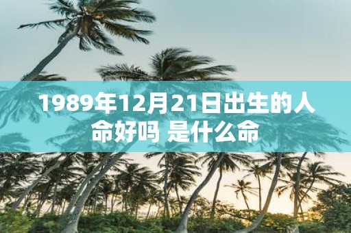 1989年12月21日出生的人命好吗 是什么命