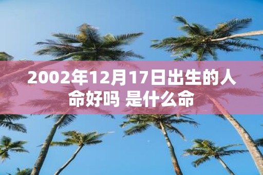 2002年12月17日出生的人命好吗 是什么命