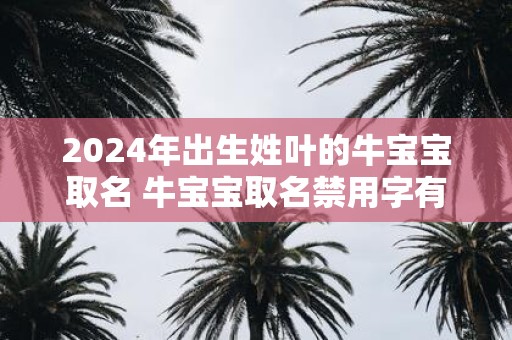 2025年出生姓叶的牛宝宝取名 牛宝宝取名禁用字有哪些