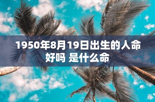 1950年8月19日出生的人命好吗 是什么命