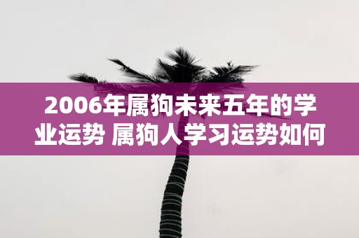 2006年属狗未来五年的学业运势 属狗人学习运势如何
