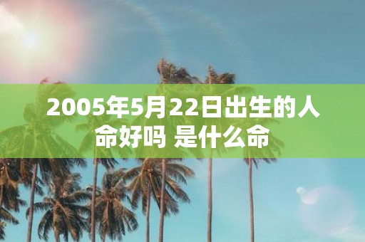 2005年5月22日出生的人命好吗 是什么命