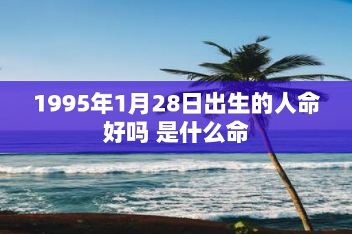 1995年1月28日出生的人命好吗 是什么命