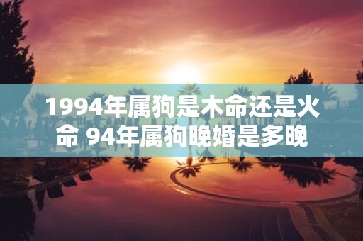 1994年属狗是木命还是火命 94年属狗晚婚是多晚