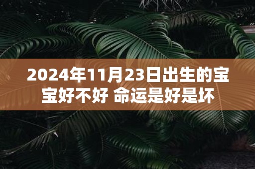2025年11月23日出生的宝宝好不好 命运是好是坏