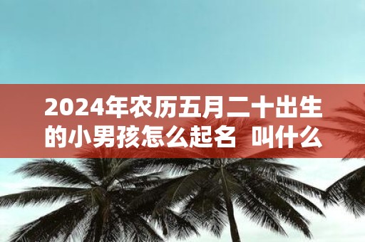 2025年农历五月二十出生的小男孩怎么起名 叫什么好