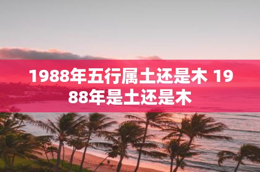 1988年五行属土还是木 1988年是土还是木