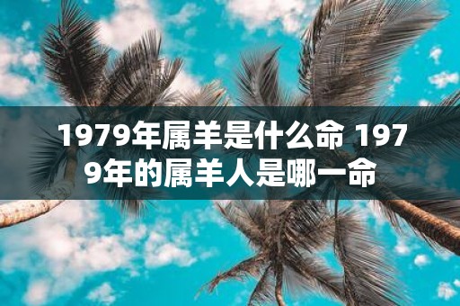 1979年属羊是什么命 1979年的属羊人是哪一命