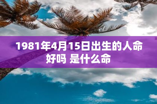 1981年4月15日出生的人命好吗 是什么命
